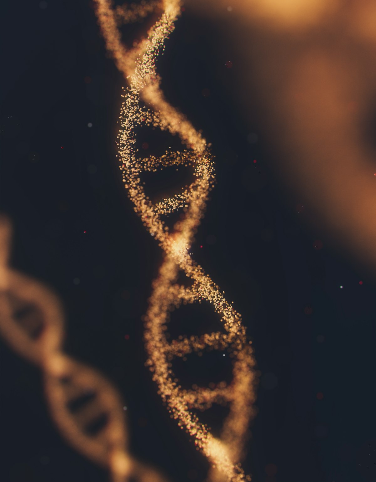 DNA分子结构示意