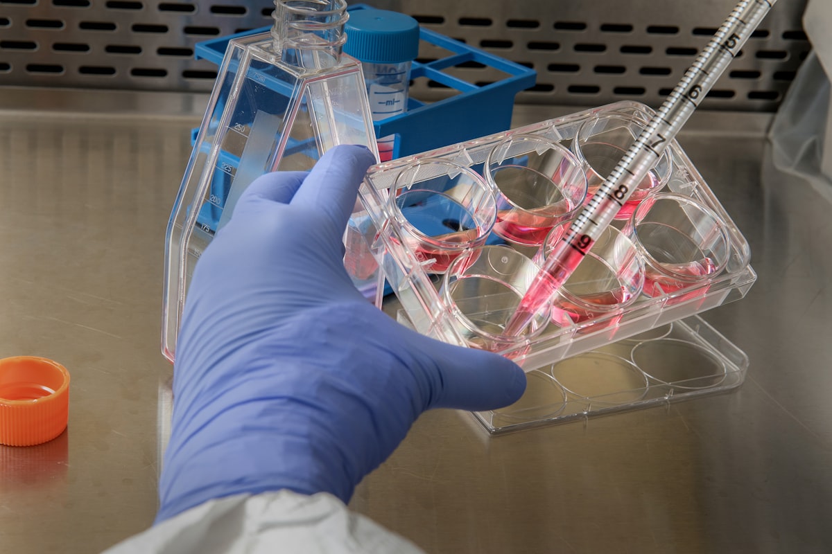 微生物実験室の様子
